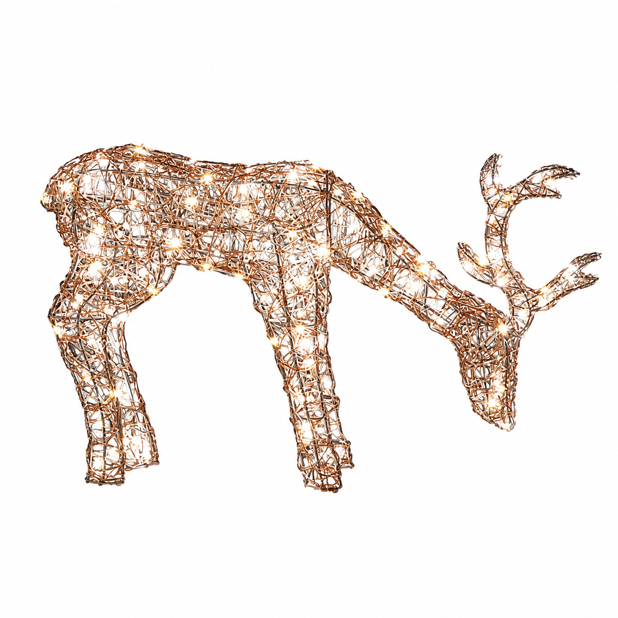 Reindeer